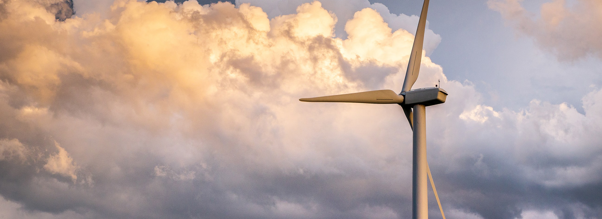 尊龙凯时人生就是搏 -首页官网